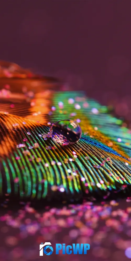 Peacock feather Aesthetic 3K Mobile Wallpaper