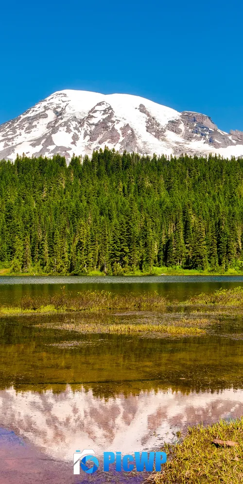 Mount Rainier Volcano 3K Mobile Wallpaper