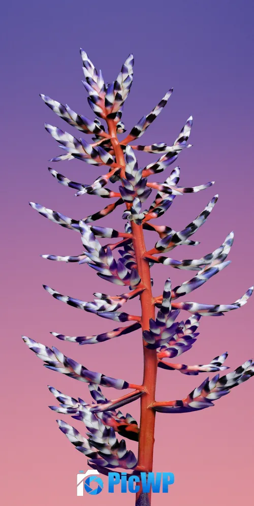 macOS Mojave Stock 3K Mobile Wallpaper