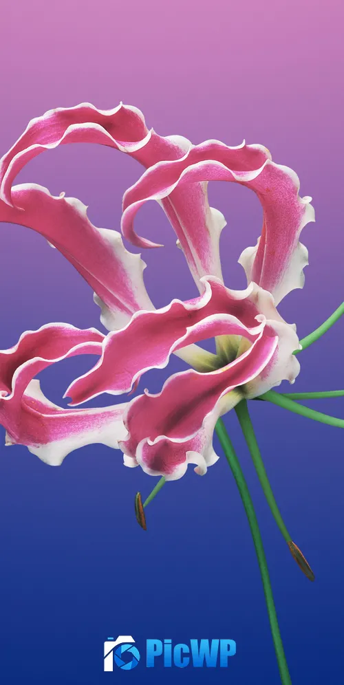 macOS Mojave Floral 3K Mobile Wallpaper