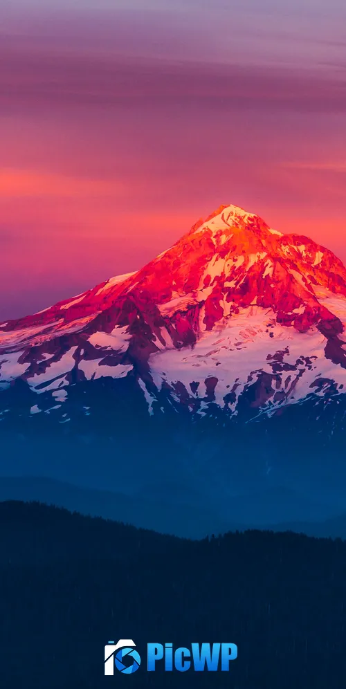 Mount Hood Alpenglow 3K Mobile Wallpaper