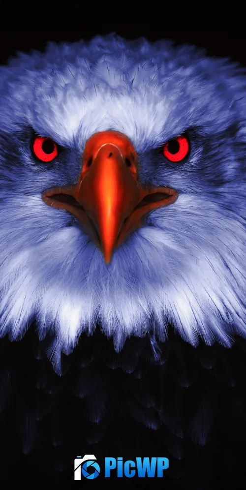 Eagle Bird of prey 3K Mobile Wallpaper