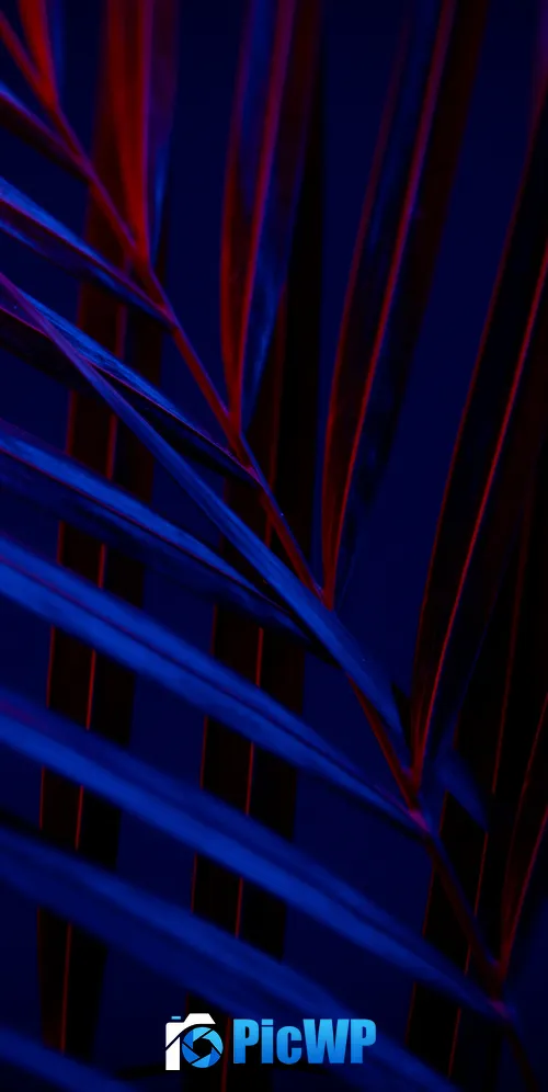 Plant Dark background 3K Mobile Wallpaper