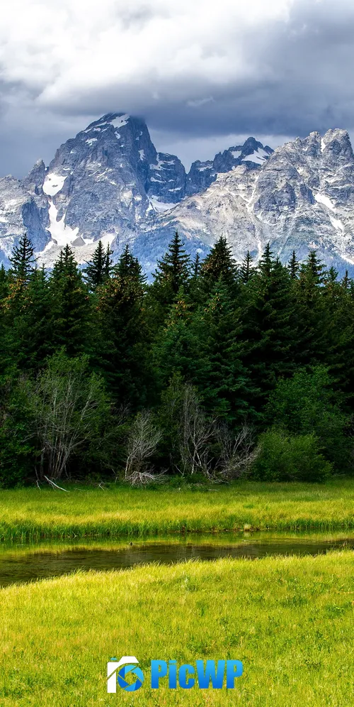 Grand Teton National Park Green Meadow 3K Mobile Wallpaper