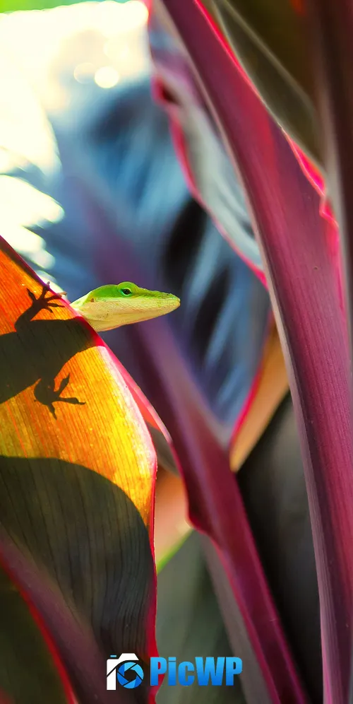Green Lizard Silhouette 3K Mobile Wallpaper