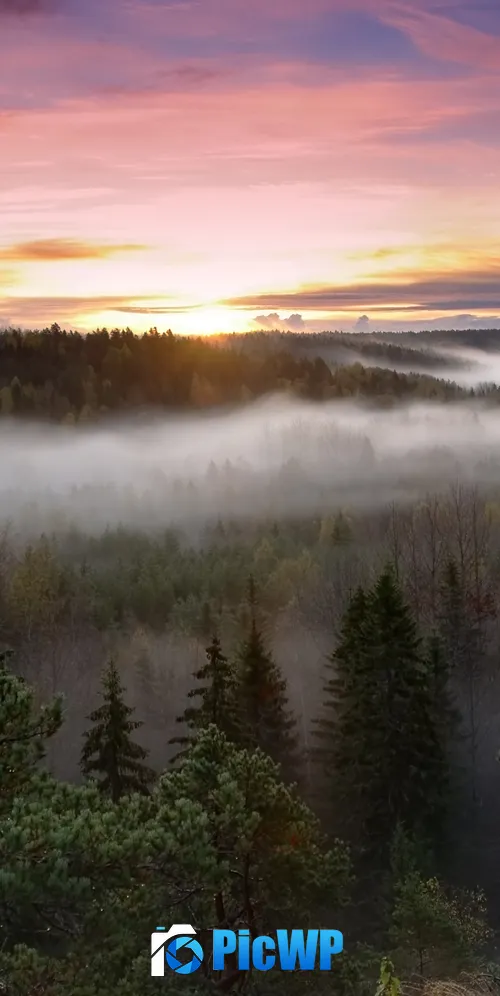 Noux National Park Finland 3K Mobile Wallpaper
