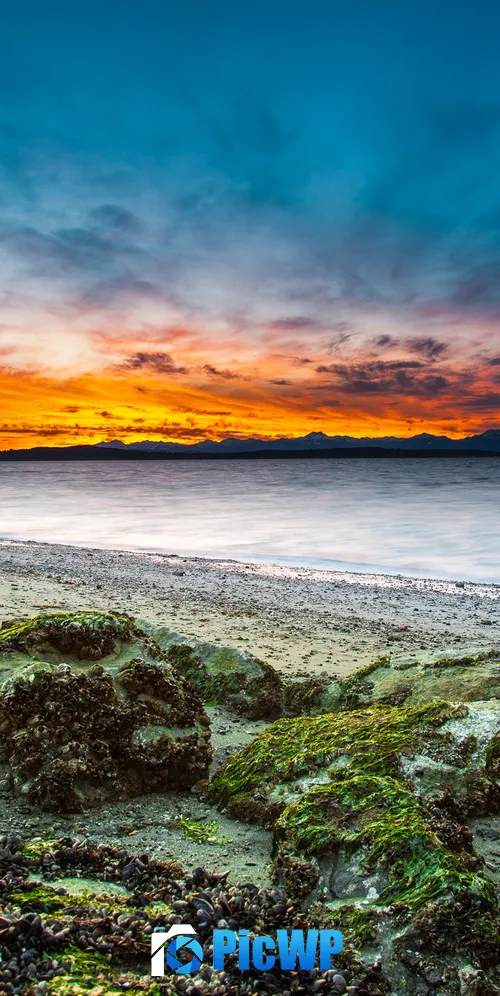 Alki Beach West Seattle 3K Mobile Wallpaper