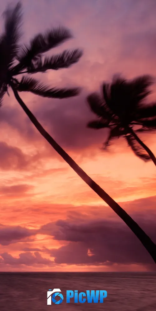 Punta Cana Dominican Republic 3K Mobile Wallpaper
