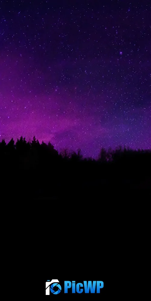Trees Silhouette 3K Mobile Wallpaper