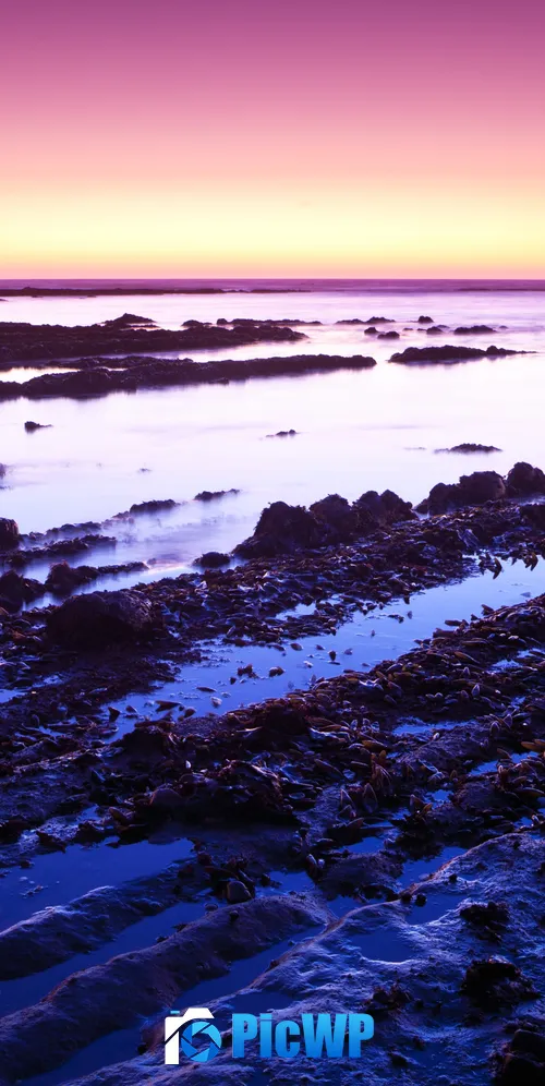 Fitzgerald marine reserve California 3K Mobile Wallpaper