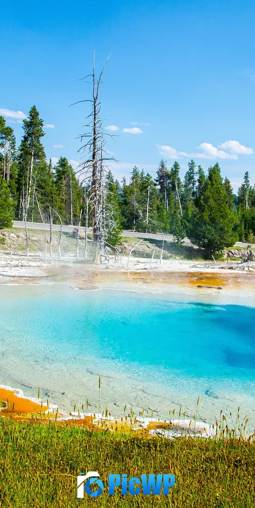 Mudpot Yellowstone National Park 3K Mobile Wallpaper