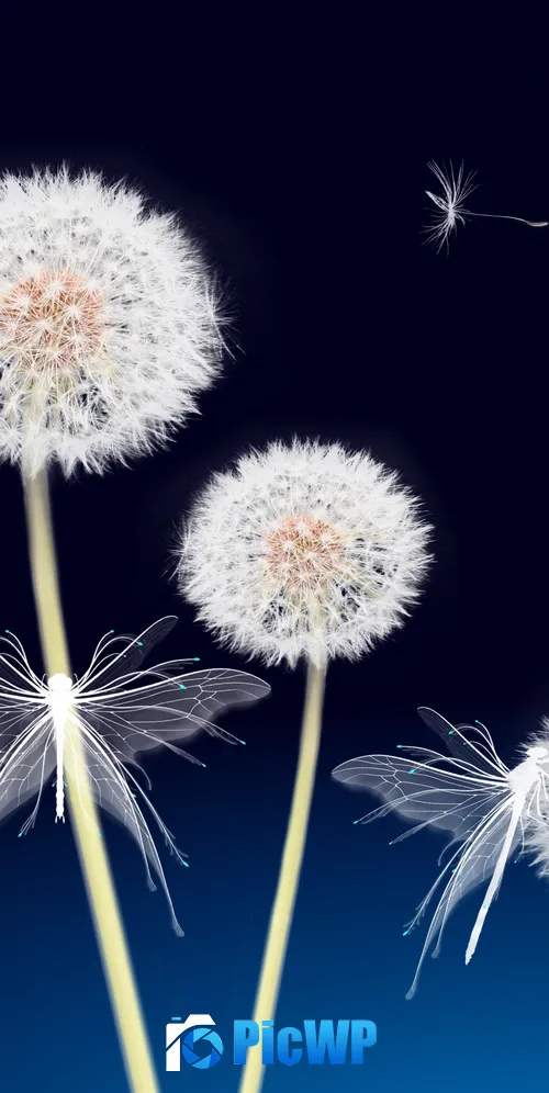 Dandelion flowers Dandelion seeds 3K Mobile Wallpaper