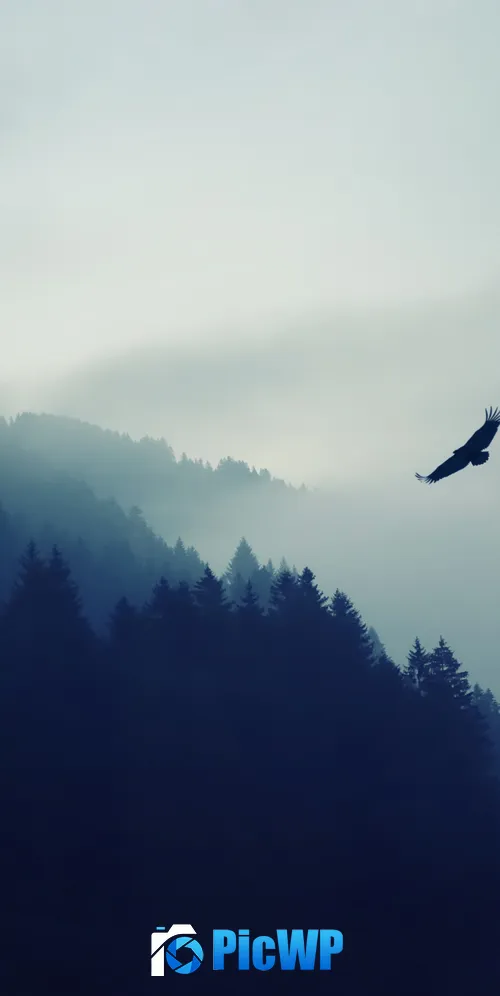 Eagle Foggy 3K Mobile Wallpaper