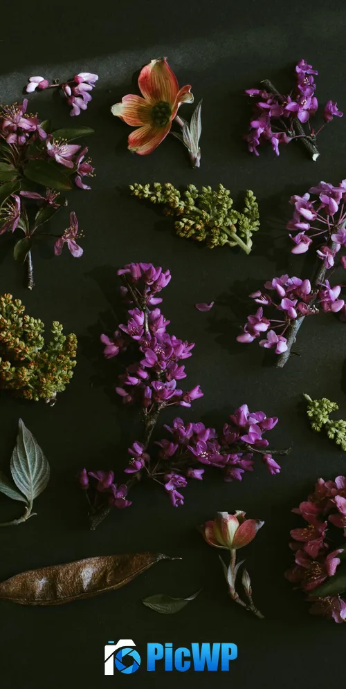 Purple Flowers Dark background 3K Mobile Wallpaper
