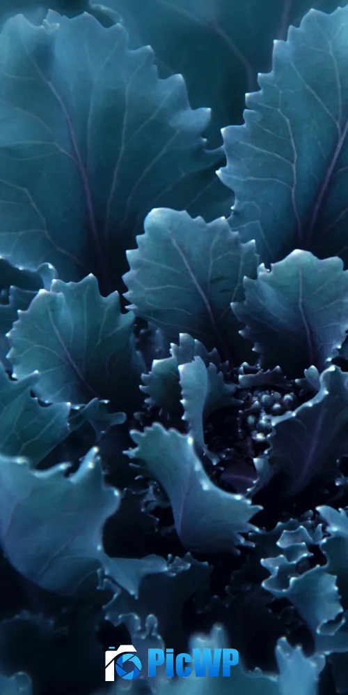Blue flower Bloom 3K Mobile Wallpaper