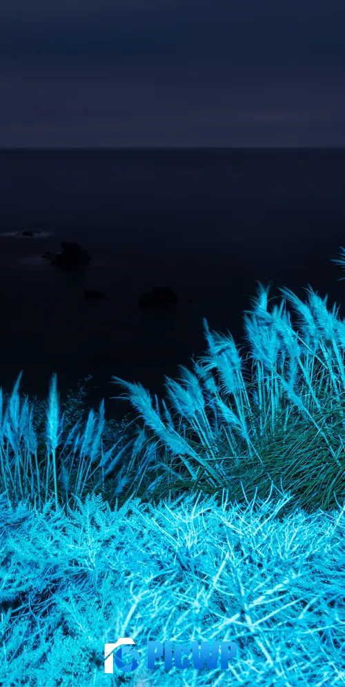 macOS Big Sur Infrared 3K Mobile Wallpaper
