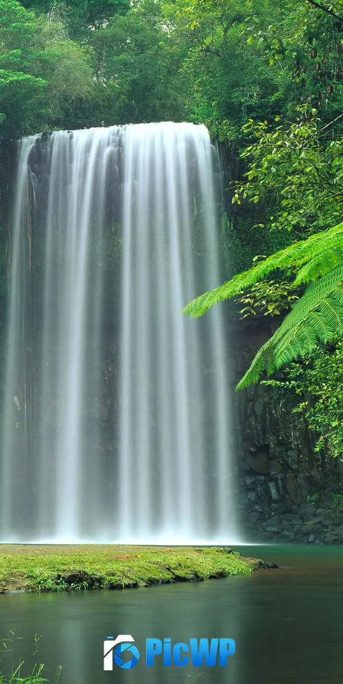 Millaa Millaa Falls Australia 3K Mobile Wallpaper