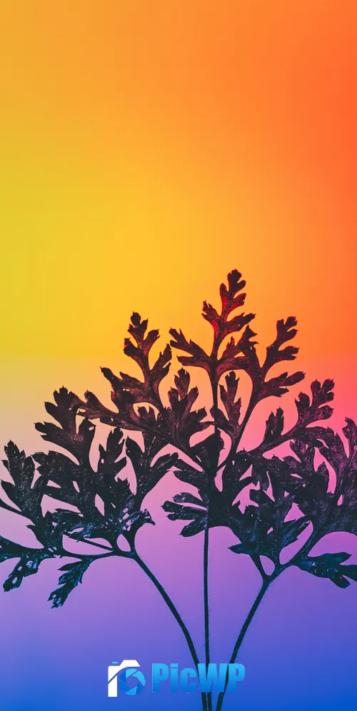 Herbal plant Gradient background 3K Mobile Wallpaper