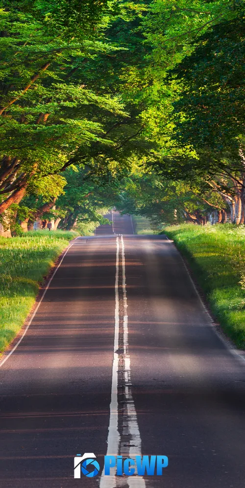 Blandford Road Empty Road 3K Mobile Wallpaper