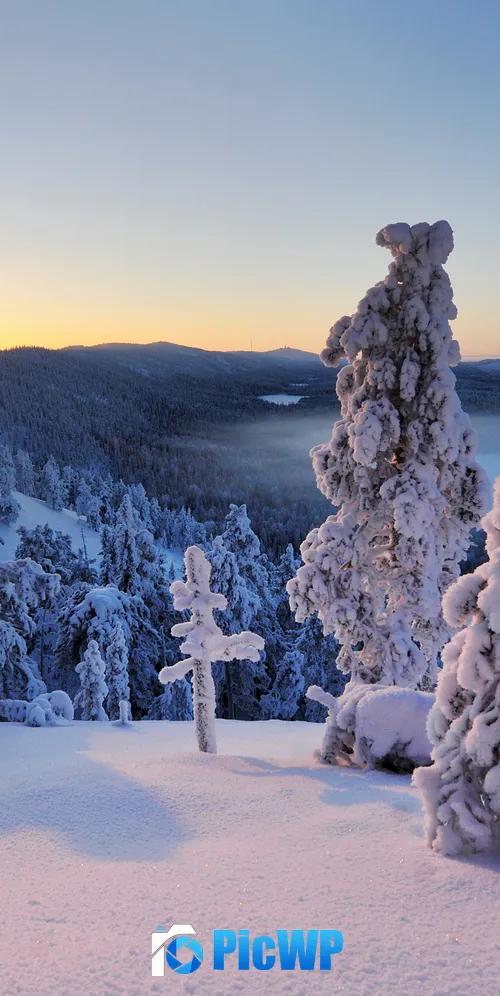 Konttainen fell Finland 3K Mobile Wallpaper
