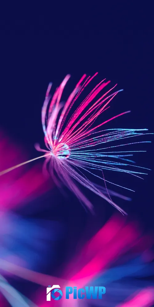 Dandelion seeds Dandelion flower 3K Mobile Wallpaper