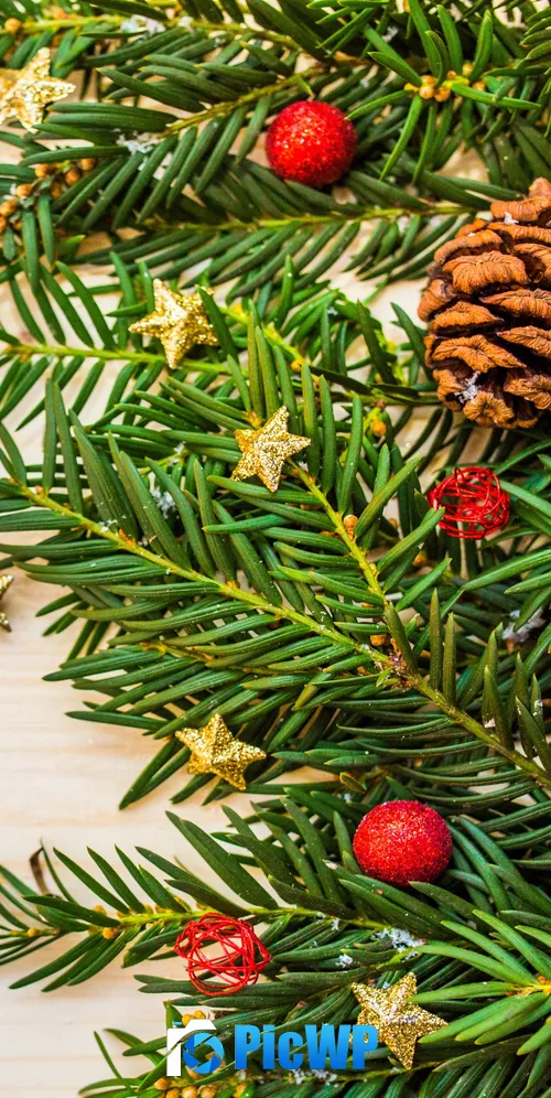 Christmas decoration Pine branches 3K Mobile Wallpaper