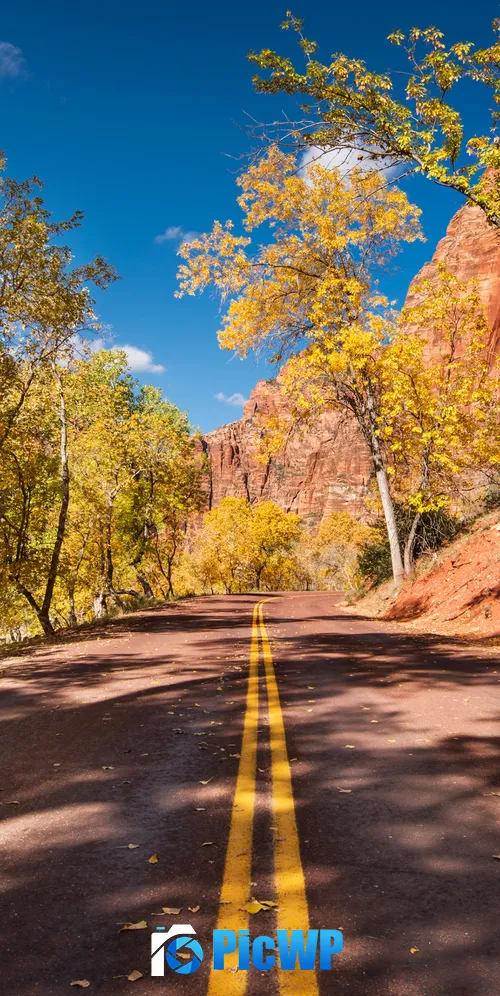 Open Road Autumn trees 3K Mobile Wallpaper