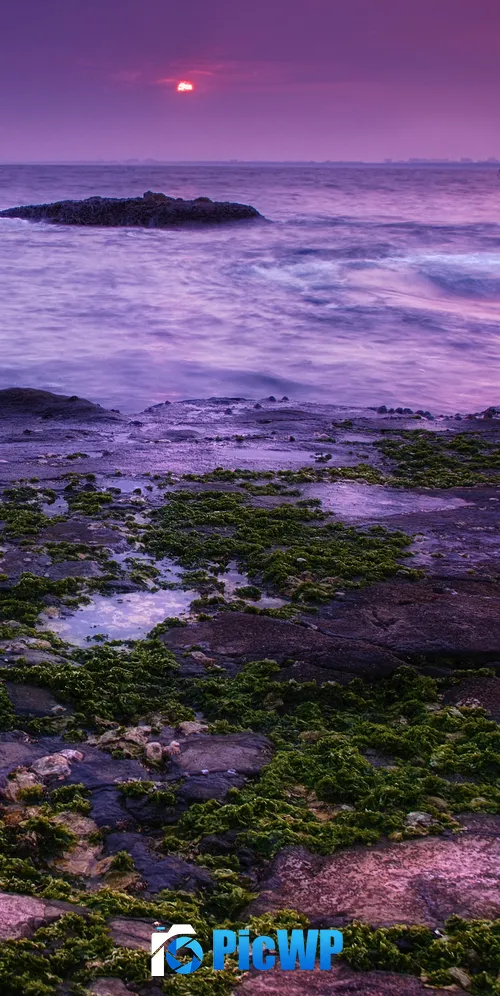 Seascape Coast 3K Mobile Wallpaper