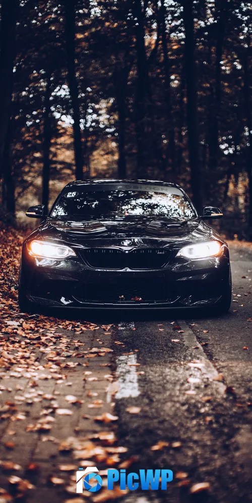 BMW Black cars 3K Mobile Wallpaper