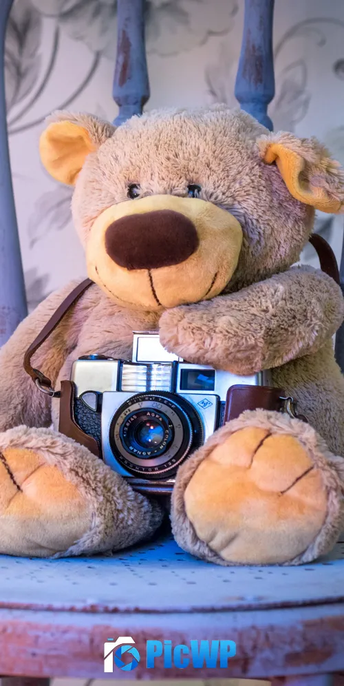 Teddy bear Vintage Camera 3K Mobile Wallpaper