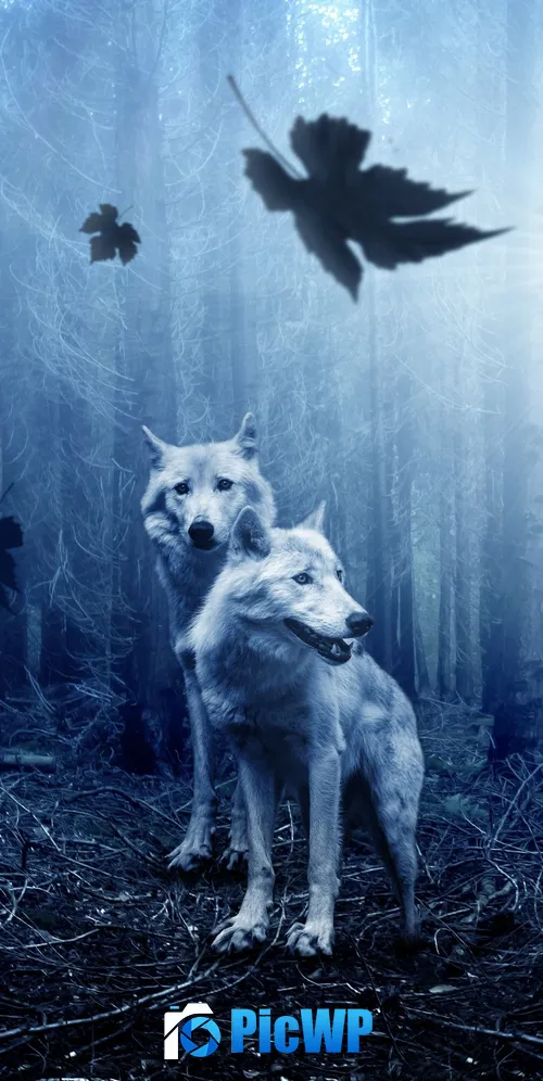 Wolf Forest 3K Mobile Wallpaper
