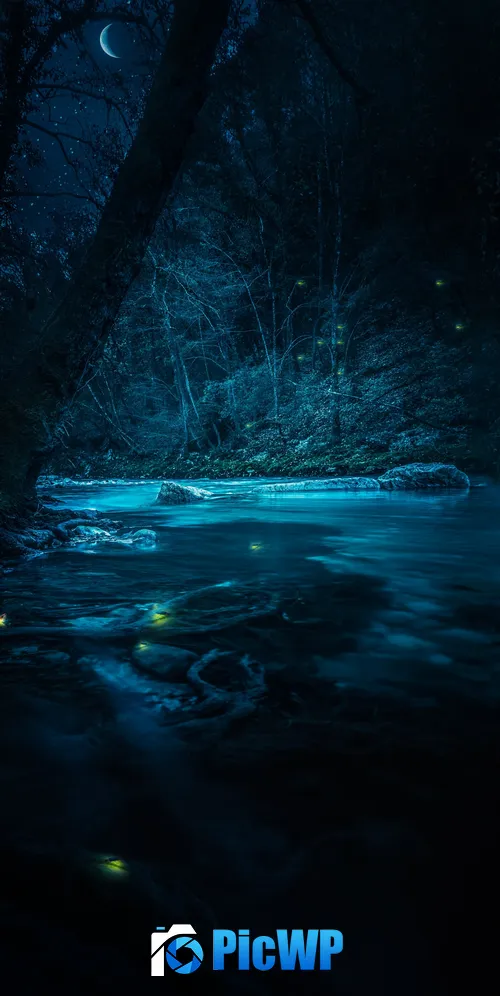 Forest River 3K Mobile Wallpaper