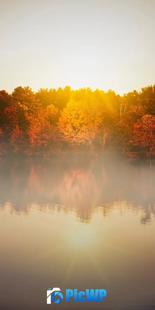 Autumn trees Body of Water 3K Mobile Wallpaper