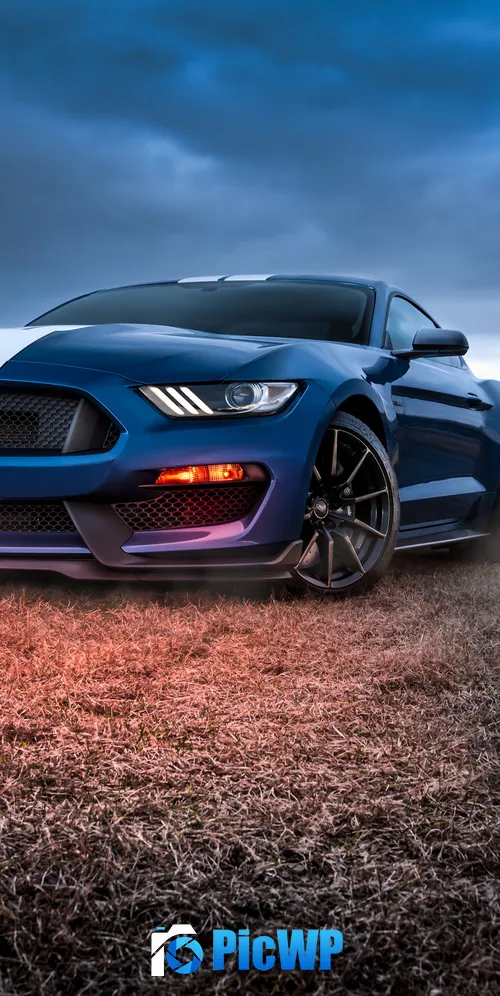 Ford Mustang Shelby GT500 Muscle cars 3K Mobile Wallpaper