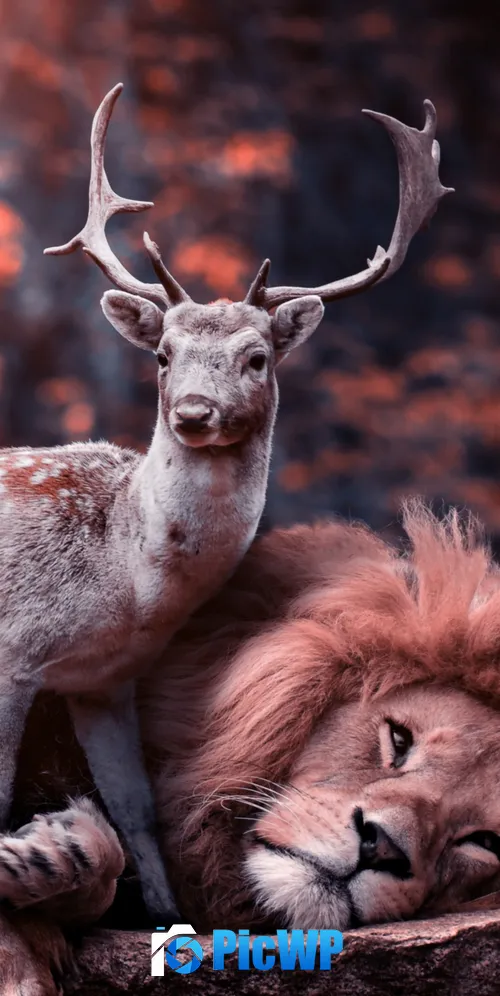 Lion Deer 3K Mobile Wallpaper