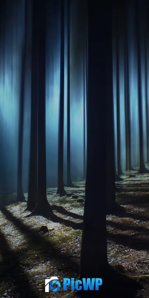 Dark Forest Woods 3K Mobile Wallpaper