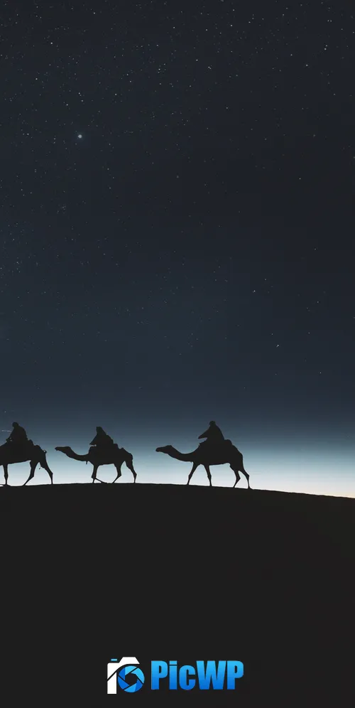 Camels Silhouette 3K Mobile Wallpaper