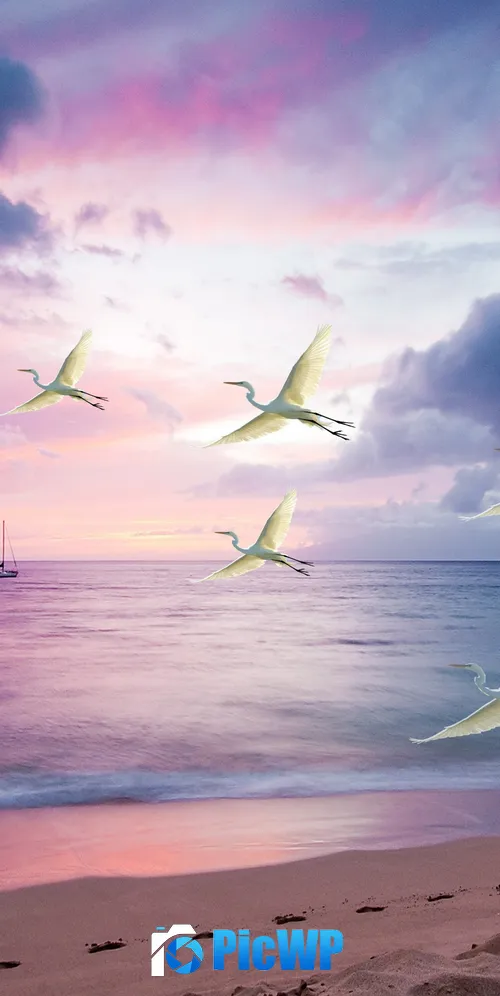 Egrets White Birds 3K Mobile Wallpaper