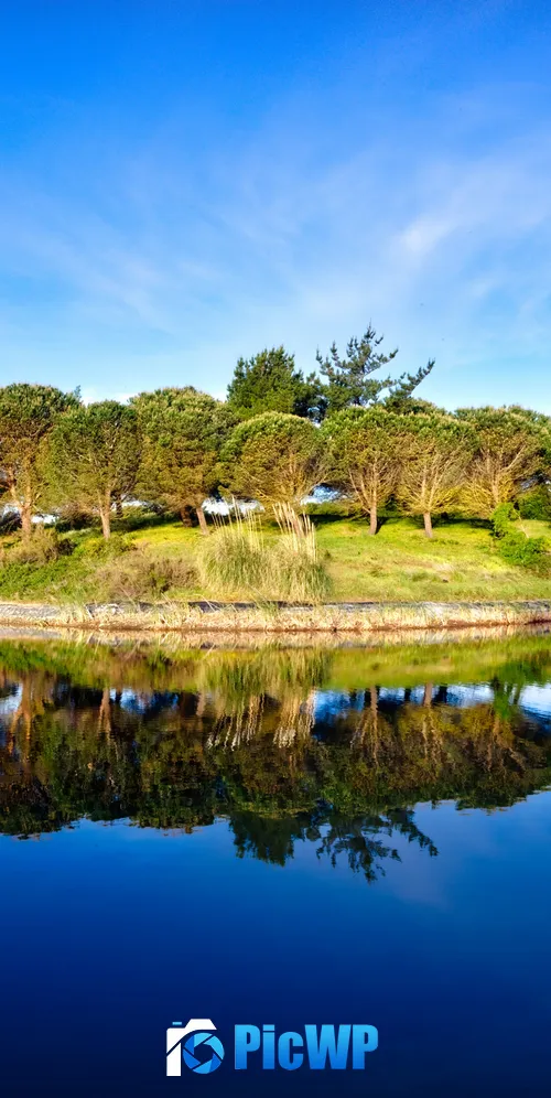 Green Trees Blue Sky 3K Mobile Wallpaper