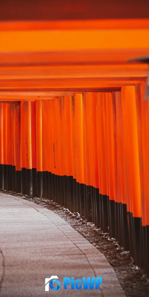 Shinto Shrine Tokyo 3K Mobile Wallpaper
