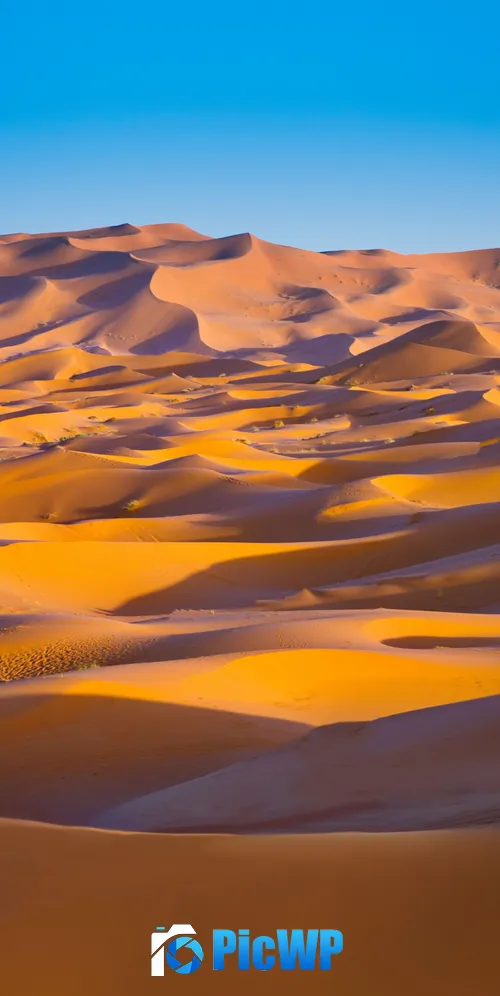 Sahara Desert Merzouga 3K Mobile Wallpaper