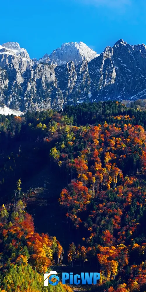 Autumn trees Snow mountains 3K Mobile Wallpaper