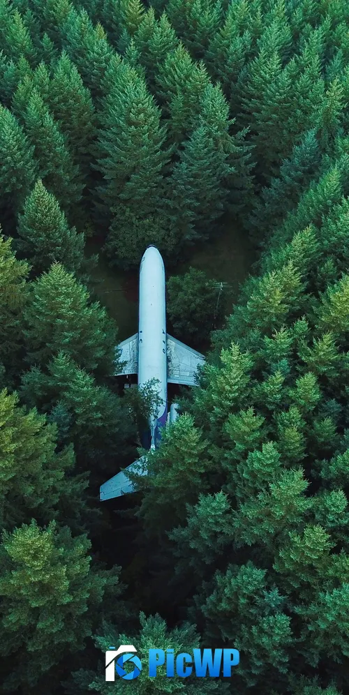 Airplane Green Trees 3K Mobile Wallpaper