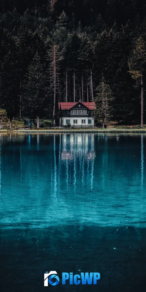 Dark Forest House 3K Mobile Wallpaper