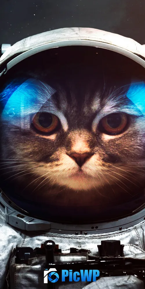 Space suit Cat 3K Mobile Wallpaper