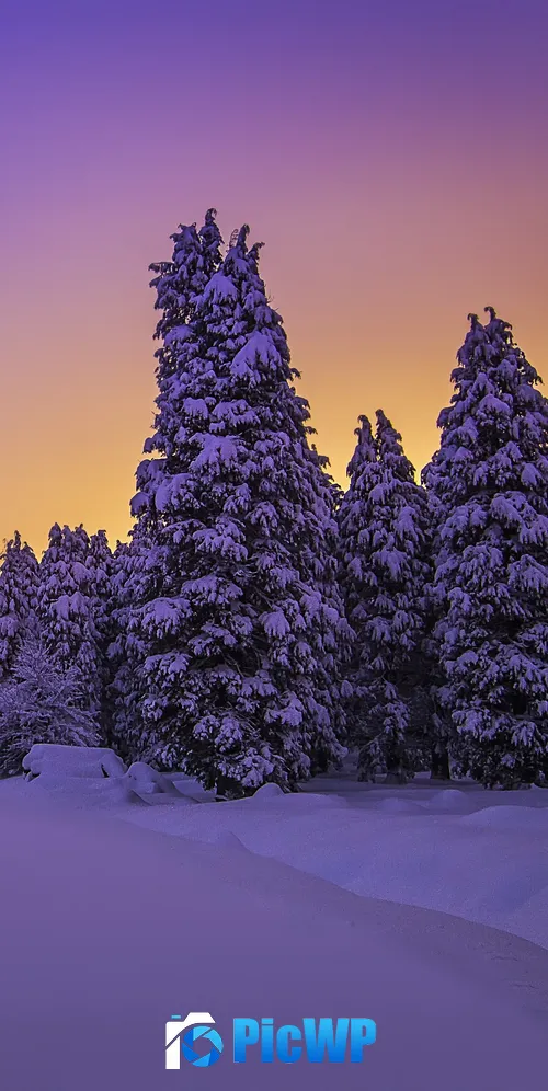 Landscape Purple sky 3K Mobile Wallpaper