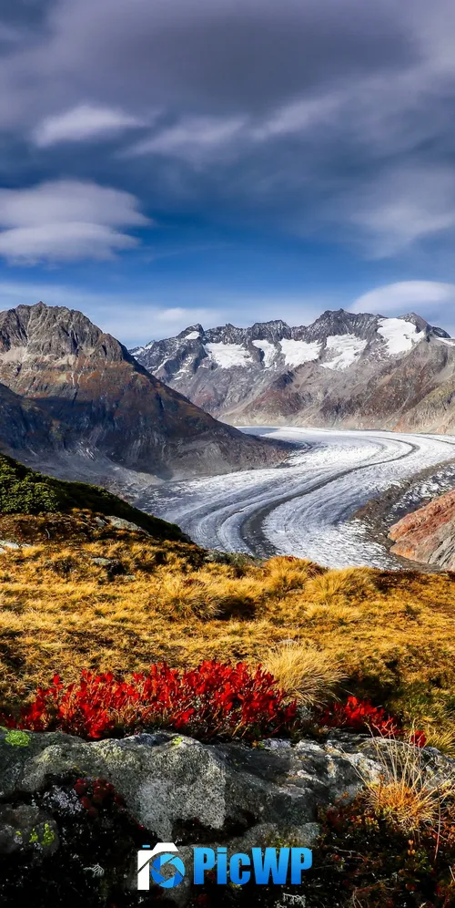 Aletsch Glacier Alps mountains 3K Mobile Wallpaper