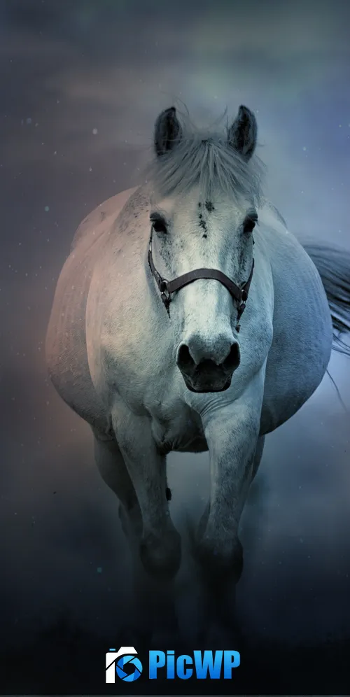 White horse Running Horse 3K Mobile Wallpaper
