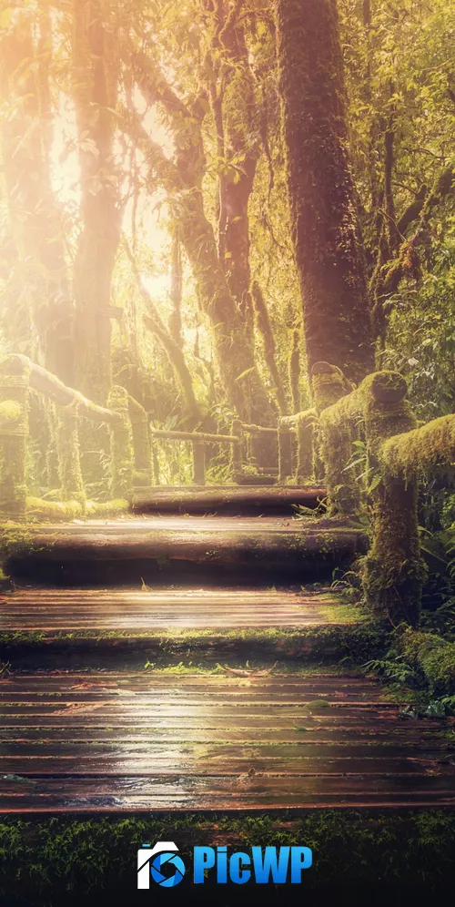 Wooden stairs Forest 3K Mobile Wallpaper