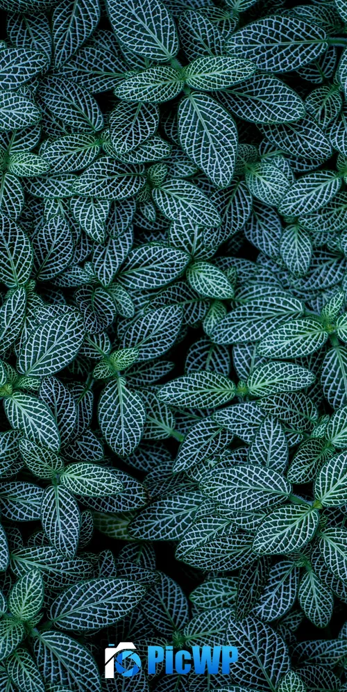 Green leaves Plants 3K Mobile Wallpaper
